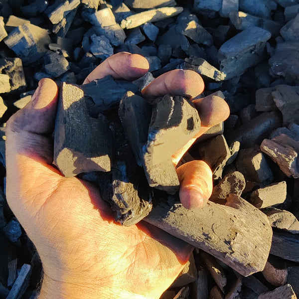 Hand holding black granite charcoal lump wood pieces for grilling and BBQ use