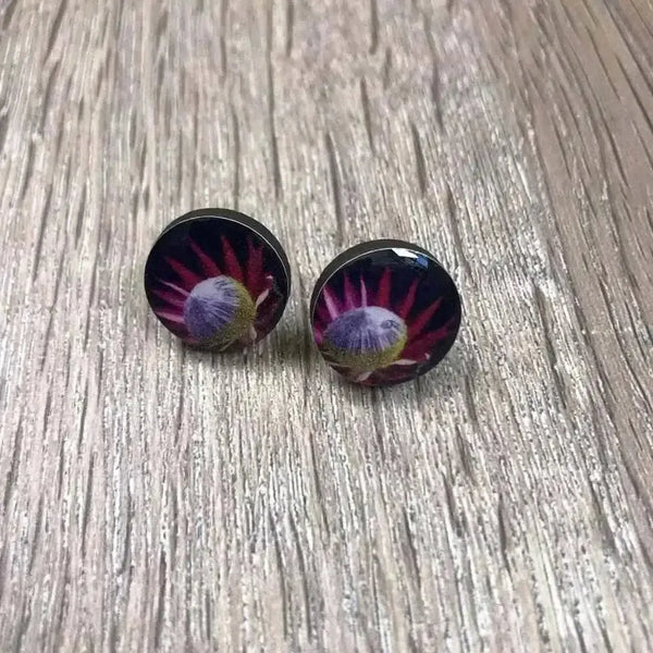 Black earrings with King Protea design, 15mm diameter, sold in pairs