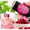Fitch & Leedes Cranberry 200ml premium mixer can with tart and sweet cranberry flavor