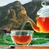 Freshpak Rooibos Tea being poured from glass teapot into cup with mountain background