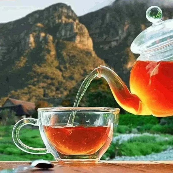 Freshpak Rooibos Tea being poured from glass teapot into cup with mountain background