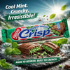 Nestle Peppermint Crisp 49g chocolate bar with mint-flavored cracknel filling