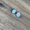 Light blue succulent stud earrings 15mm diameter sold in pairs made in South Africa
