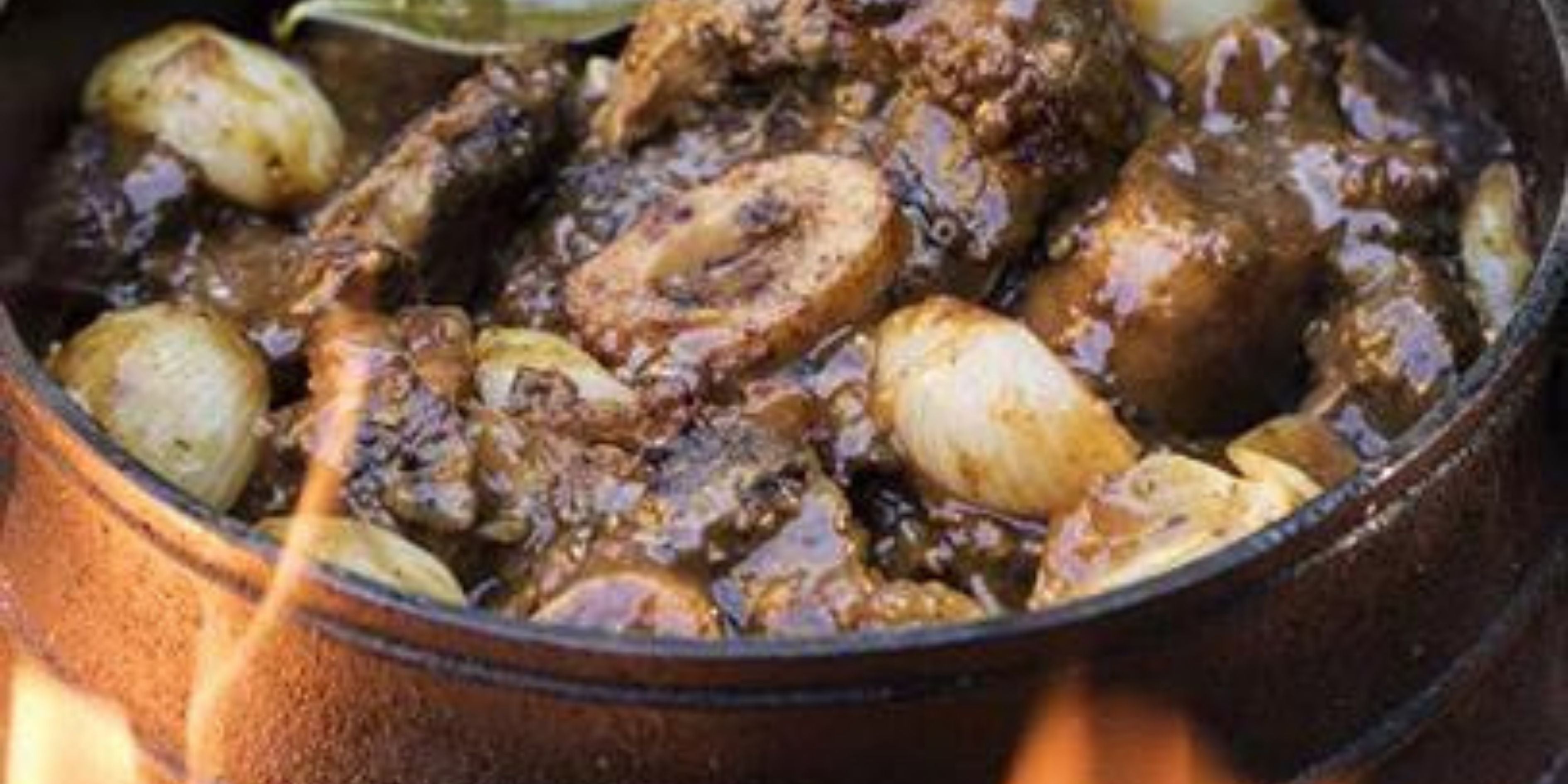 Shin and Oxtail Beef Potjie