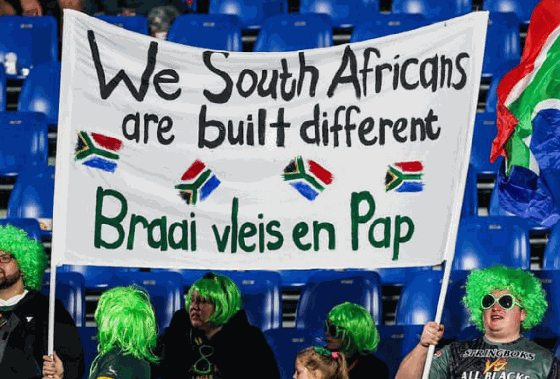 Springboks: A Symbol of Unity and Resilience Beyond Just a Game ...