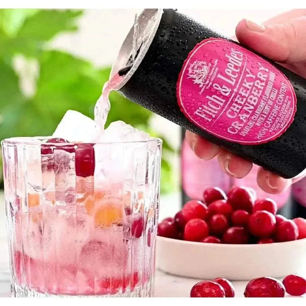 Fitch & Leedes Cranberry 200ml premium mixer can with tart and sweet cranberry flavor