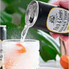 Fitch & Leedes Indian Tonic Sugar Free 200ml can for refreshing sugar-free cocktails and mixers