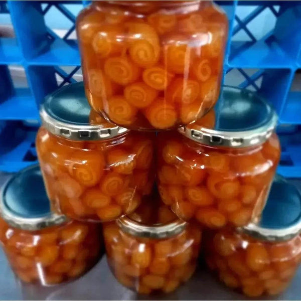 Ina Lessing Marmalade Orange Peel Rolls 400g citrusy sweet snack