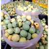Ina Lessing Marula Jelly 500g jar with gooseberry jam label and spoonful of jam