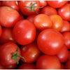 Ina Lessing Tomato Jam 500g jar with fresh tomato and spices for versatile culinary use