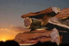 Camel Thorn firewood pieces stacked with sunset background.