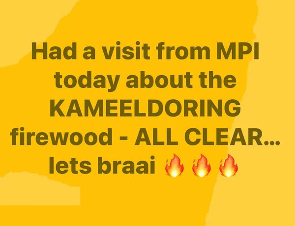 Camel Thorn Firewood - All clear MPI inspection for Kameeldoring firewood.