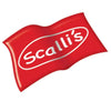 Scalli’s Braai Spice 500ml bottle for savory BBQ seasoning with South African spices