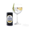 Fitch & Leedes Indian Tonic Sugar Free - 200ml - Something From Home - South African Shop
