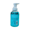 Sorbet Foaming Hand Wash Rejuvenating 500ml bottle with kiwi fruit extract and collagen for gentle cleansing and skin hydration