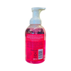 Sorbet Foaming Handwash Firming - 500ml