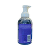 Sorbet Foaming Handwash 500ml bottle with dragon fruit and argan oil for nourishing hand cleansing