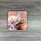 South African Shop - Coasters - African Wildlife (Set of 4)- - Something From Home