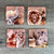 Coasters - African Wildlife (Set of 4) - Something From Home - South African Shop