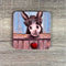 South African Shop - Coasters - Donkeys (Set of 4)- - Something From Home