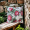 Cushion Cover - White with Proteas - Something From Home - South African Shop