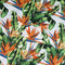 White Tablecloth with Watercolour Strelitzia - Something From Home - South African Shop