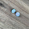 Stud Earrings - Light Blue Succulents - Something From Home - South African Shop