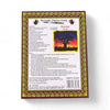 Taste of Africa Pineapple Chicken Curry spice mix pack for authentic South African curry meals