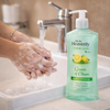 Oh So Heavenly Hygiene Clean Queen of Clean Hand Wash(450ml) Facebook Ad