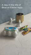 Beacon Marshmallow Easter Eggs - 36's