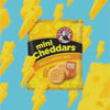 One-second image-derived product clip: Bakers Mini Cheddars - Multipack Cheese 33g (Pack of 6). Source gid://shopify/MediaImage/34874484195565. Silent faithful conversion.