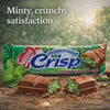 One-second image-derived product clip: Nestle Peppermint Crisp - 49g. Source gid://shopify/MediaImage/38995600703725. Silent faithful conversion.